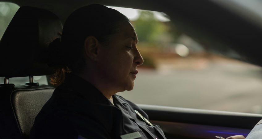 California Penal Code Section 217.1(a) PC - Assault on a Public Official Defense